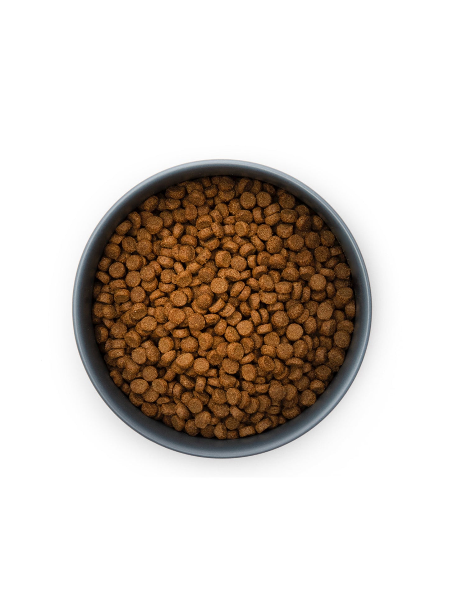 Buddy & Blu Puppy insect protein chicken kibble