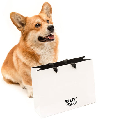 Discovery Kit — Puppy