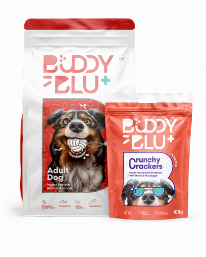 Discovery Kit — Adult Dog