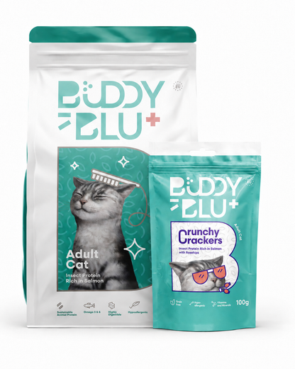 Kit Scoperta — Gatto Adulto