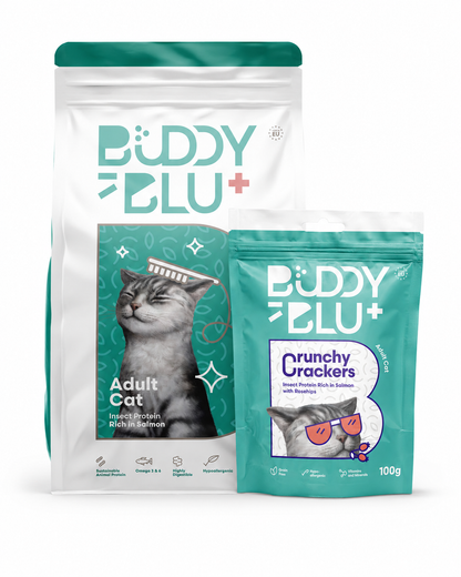Discovery Kit — Adult Cat